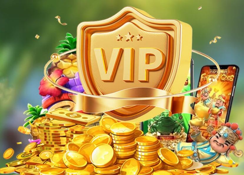 vip79
